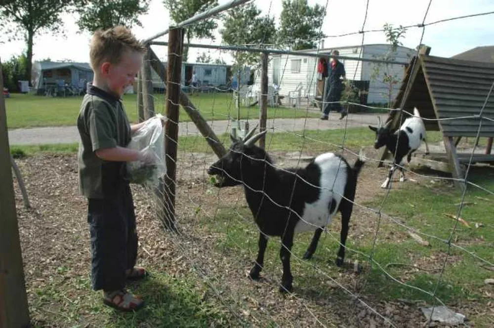 Boerderijcamping De Kluithoek