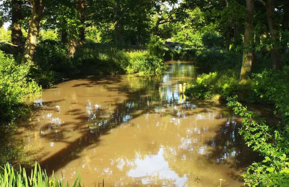 Hill Cottage Farm Camping and Caravan Park