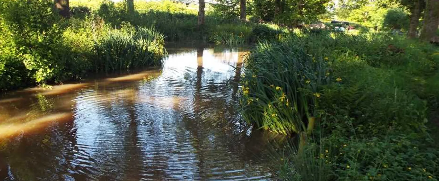 Hill Cottage Farm Camping and Caravan Park