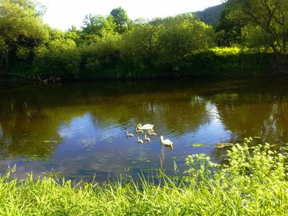 Campingplatz - Altenburschla