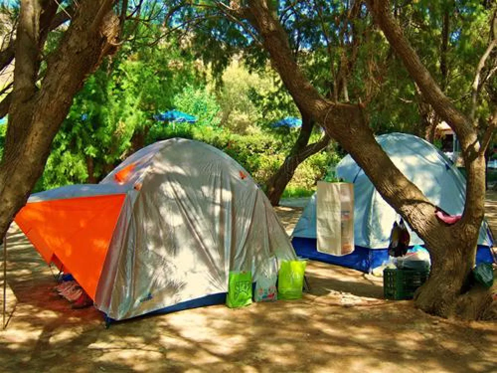 Campsite Nopigia