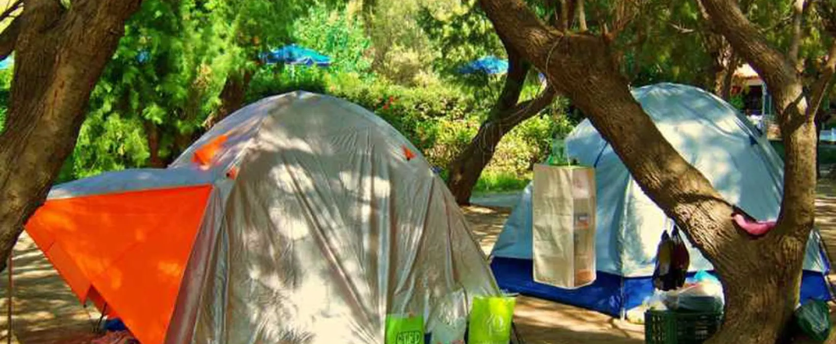 Campsite Nopigia