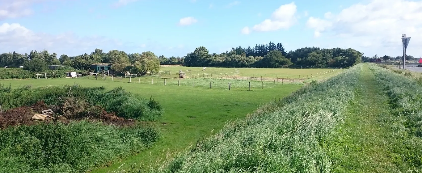 Randers Fjord Camping