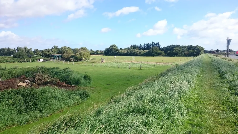 Randers Fjord Camping