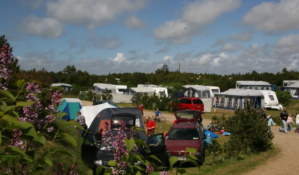 Nymindegab Familie Camping
