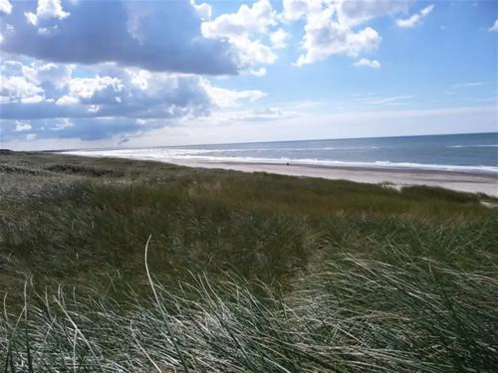 Nymindegab Familie Camping