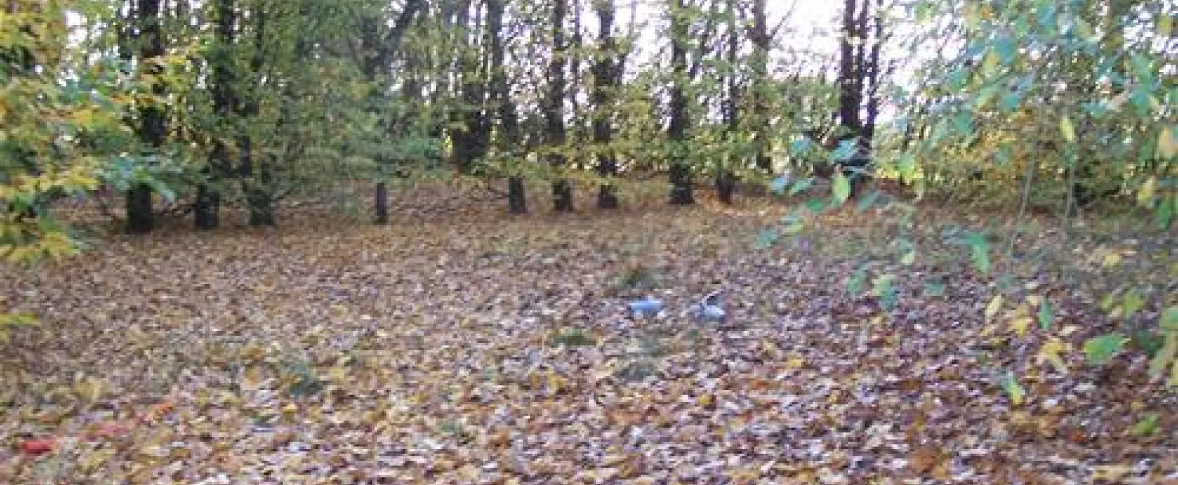 Camping Le Rejallant