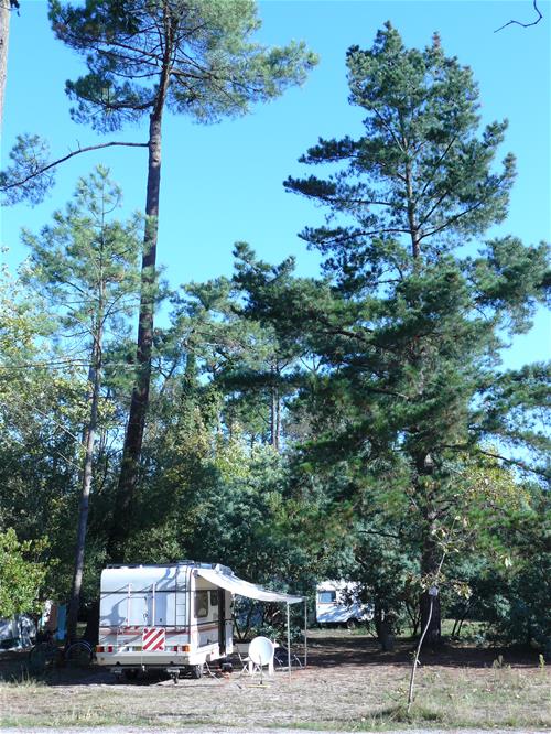 Camping Le Moisan photo 5