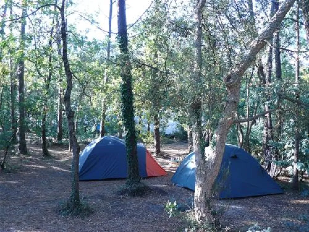Camping Le Moisan