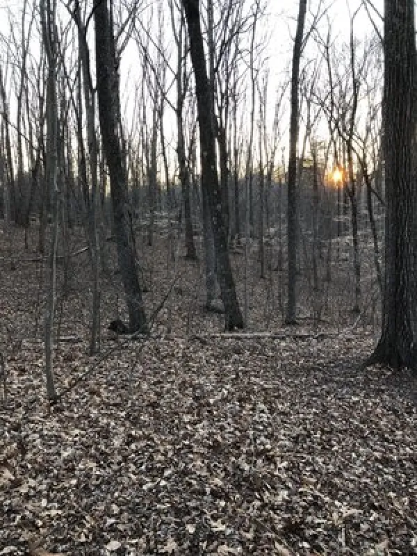 Smith Mountain Lake State Park