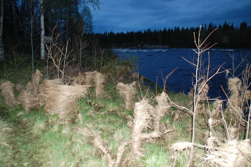 Jockfalls Fiske & Fritidsanläggning
