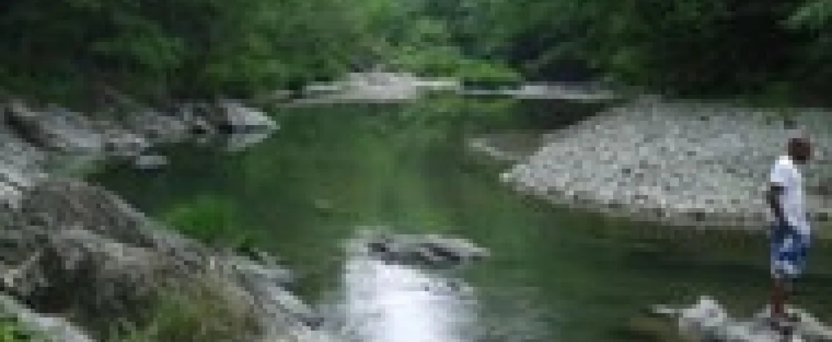 Aqua Vista Campground