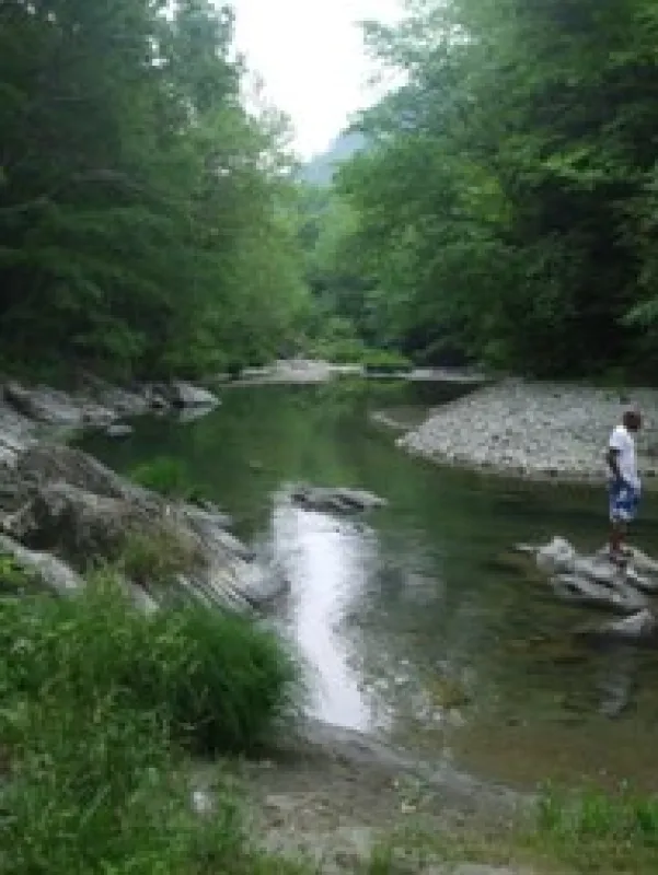 Aqua Vista Campground