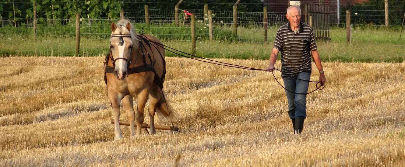 Hof van Moeder Aarde