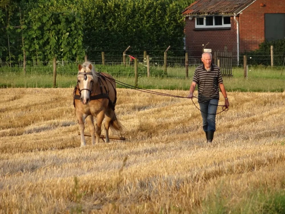 Hof van Moeder Aarde