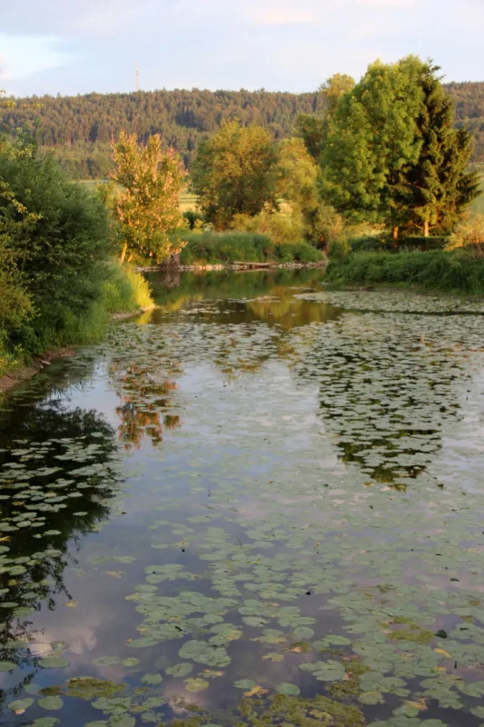 An der Altmühl