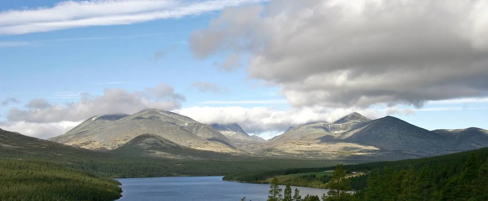 Koppang Camp. Og Hytteutleie