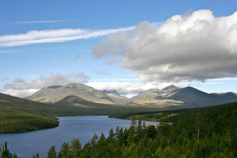 Koppang Camp. Og Hytteutleie