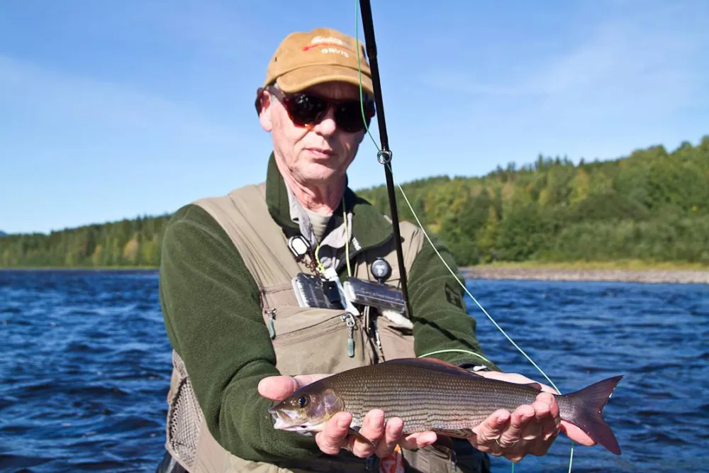 Koppang Camp. Og Hytteutleie