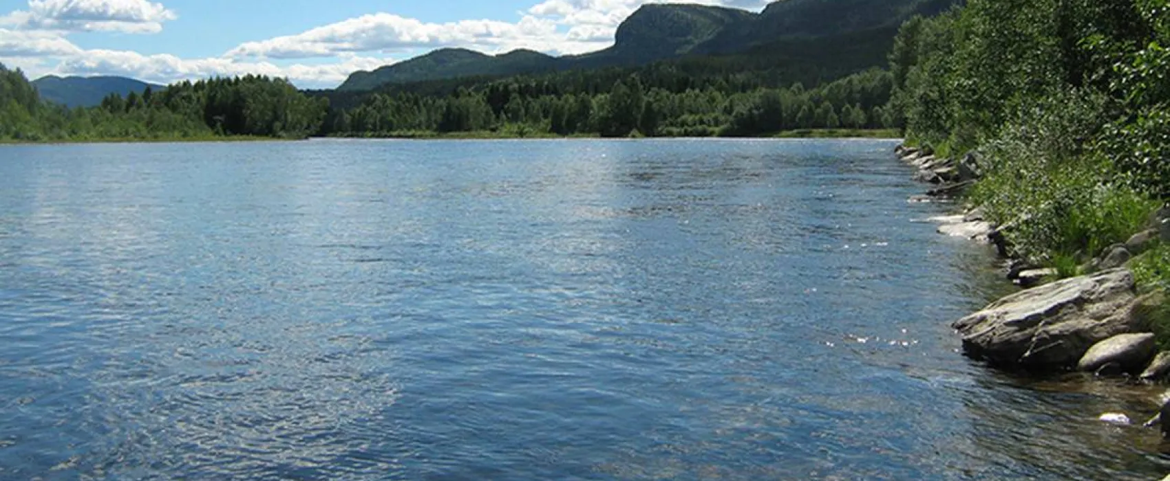 Koppang Camp. Og Hytteutleie