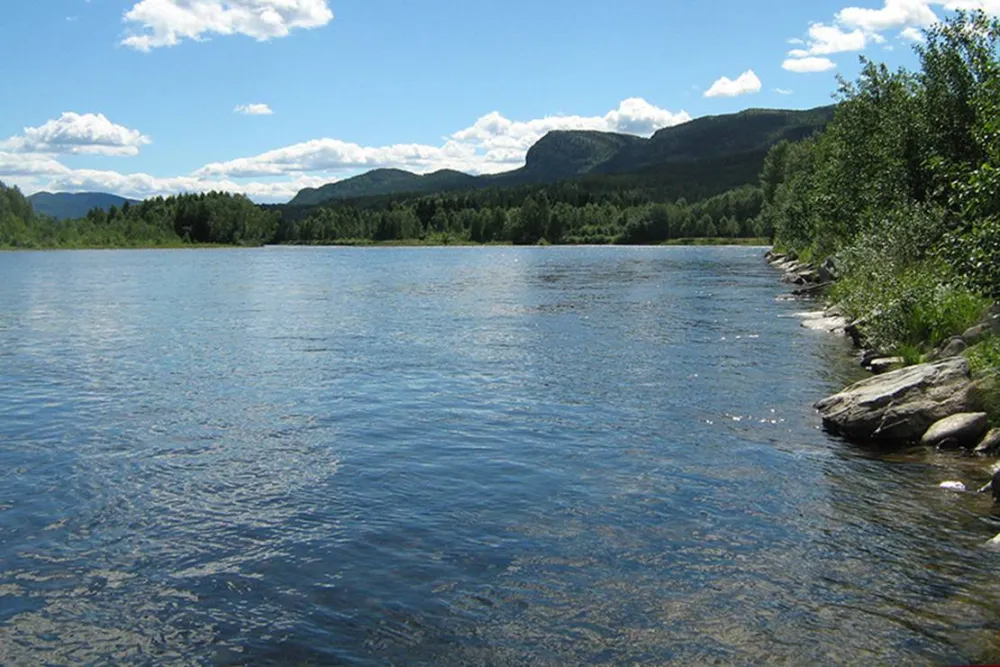 Koppang Camp. Og Hytteutleie