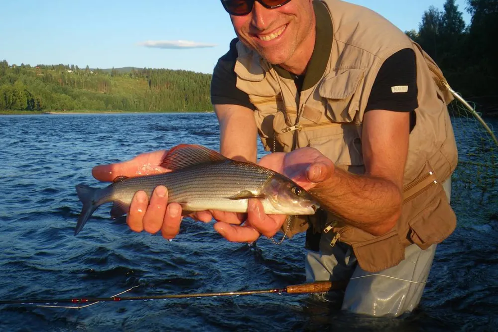 Koppang Camp. Og Hytteutleie