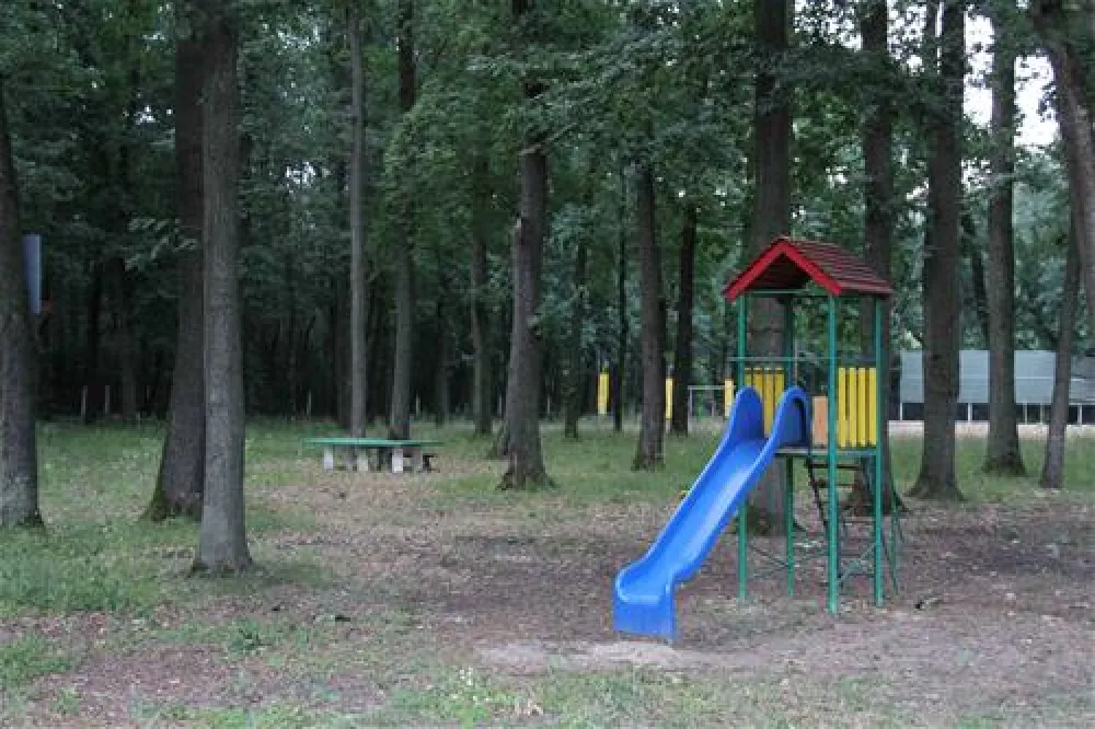 Camping International