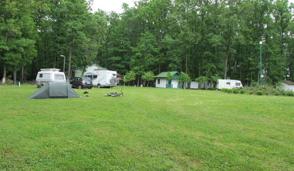 Camping International