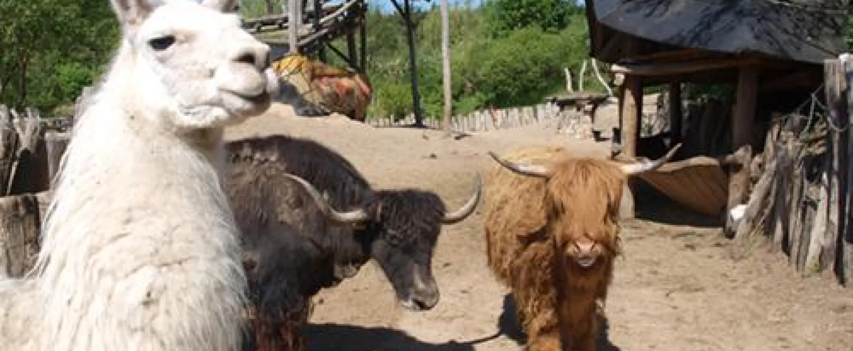 Kulturinsel Einsiedel