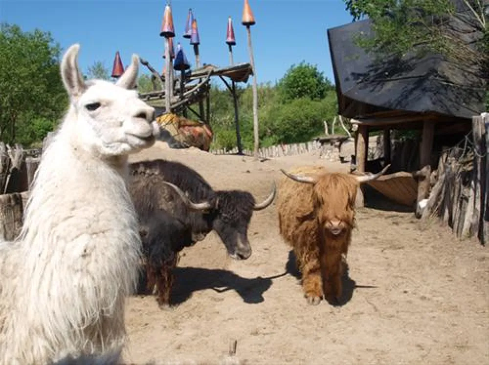 Kulturinsel Einsiedel