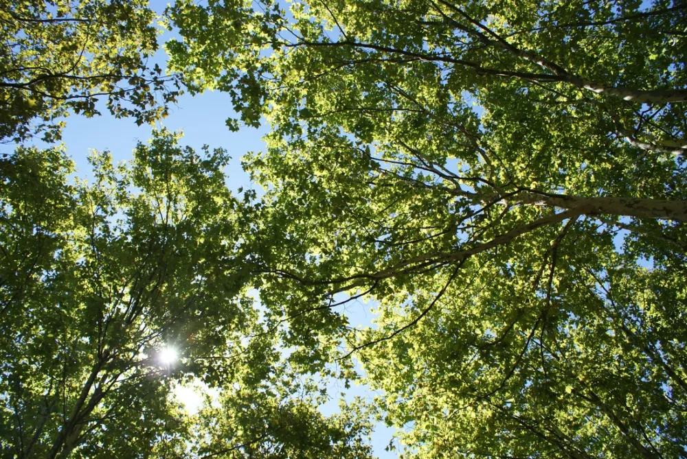 Camping Les Ombrages  