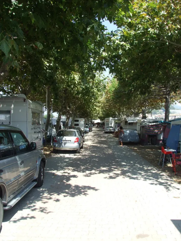 Campeggio Vallecrosia