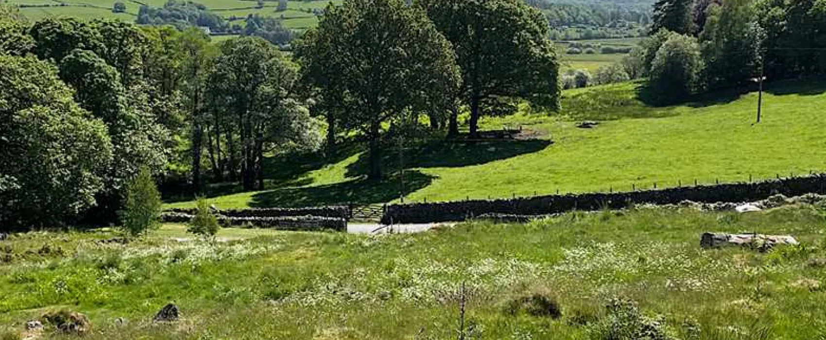 Black Beck Holiday Park