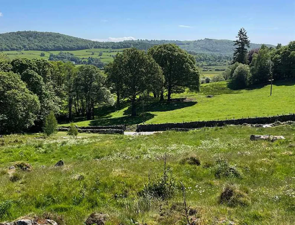 Black Beck Holiday Park