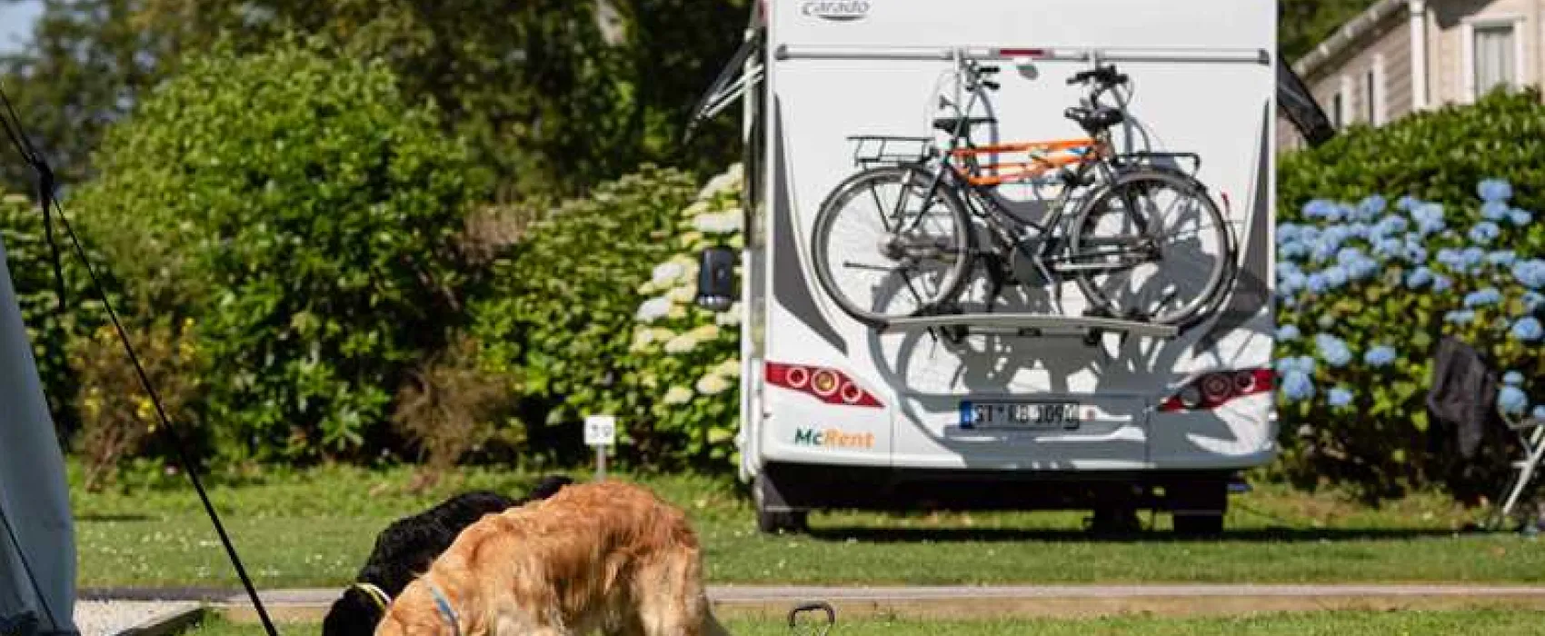 Heligan Caravan and Camping Park