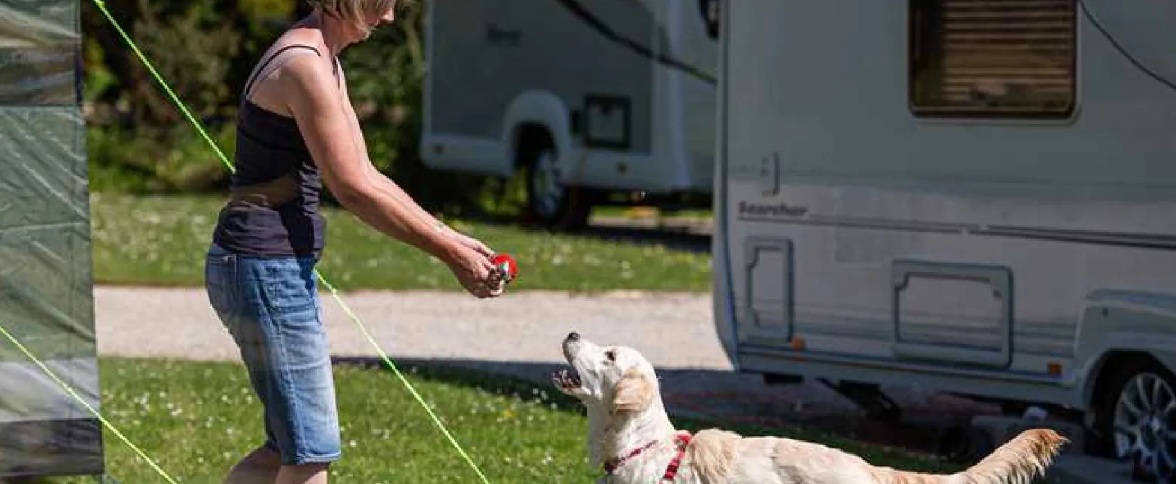 Heligan Caravan and Camping Park