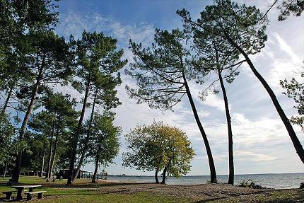 Camping Municipal Du Lac De Cazaux - Photo 2