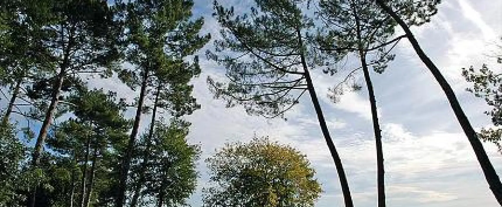 Camping Municipal Du Lac De Cazaux  