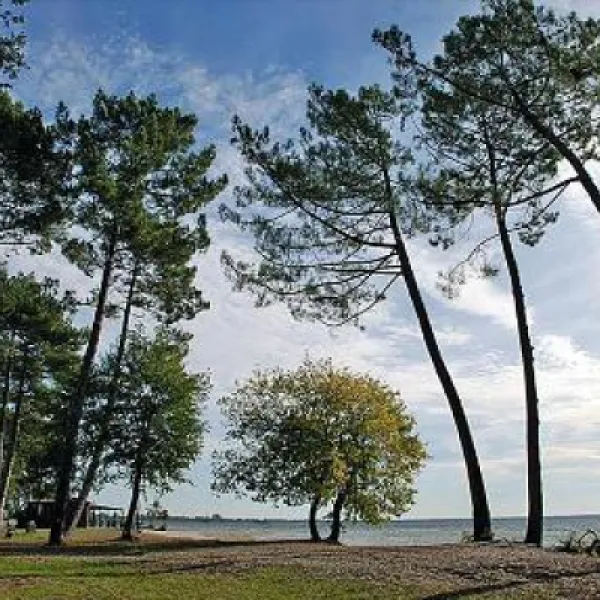 Camping Municipal Du Lac De Cazaux