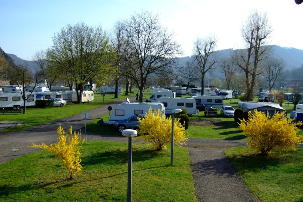 Camping Mosel-Islands