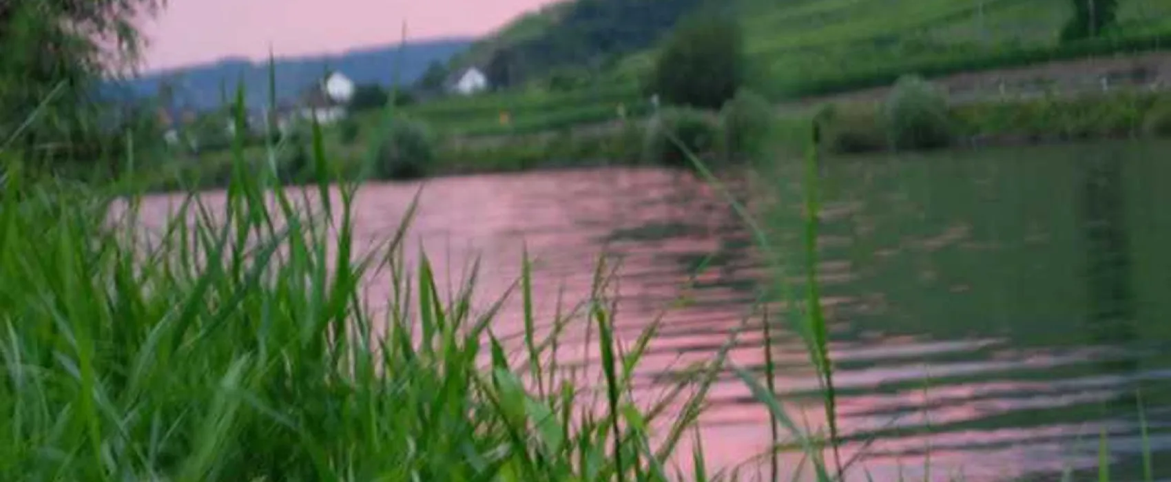 Camping Mosel-Islands