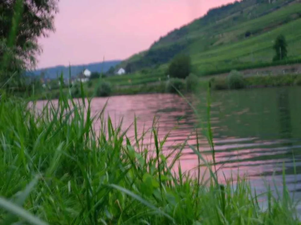 Camping Mosel-Islands