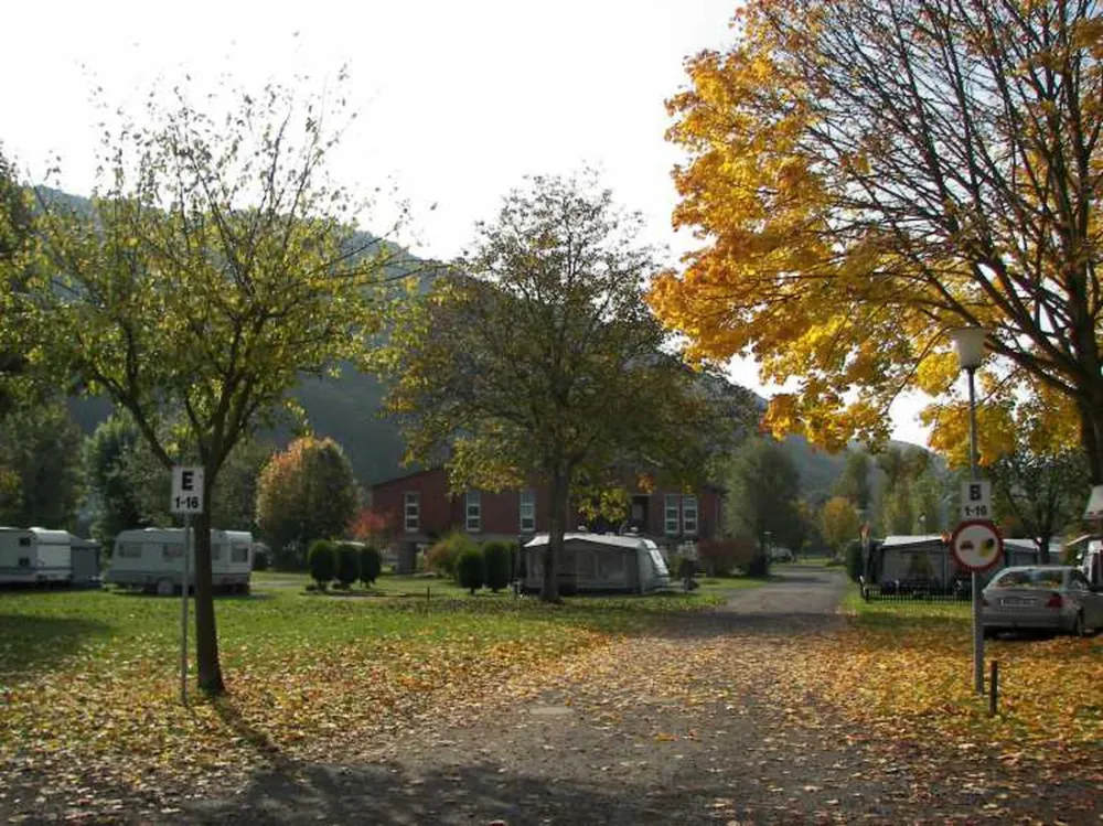 Camping Mosel-Islands