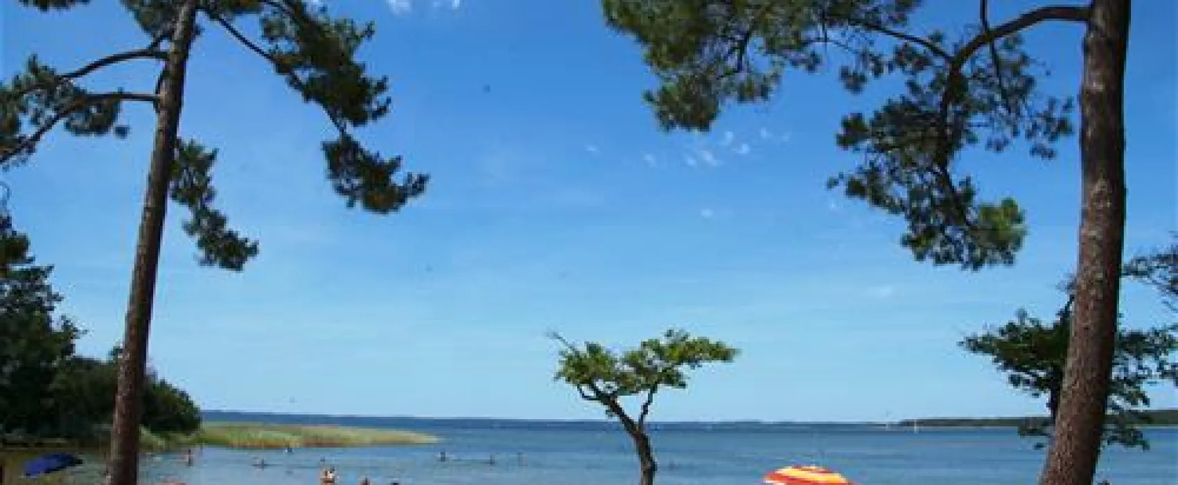 Camping Les Grands Pins  