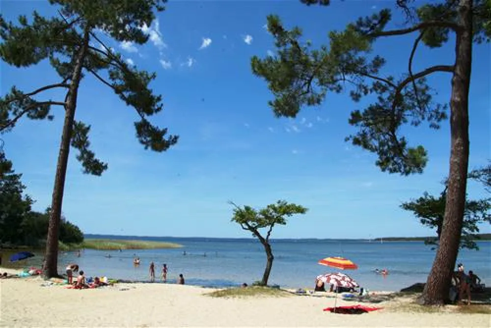 Camping Les Grands Pins  