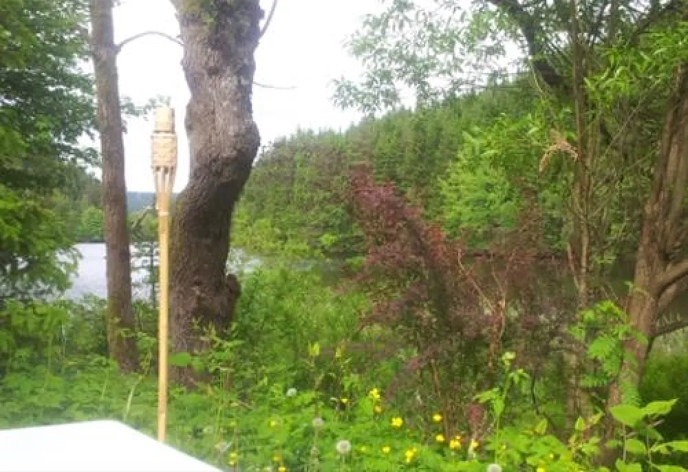 Camping Okertalsperre