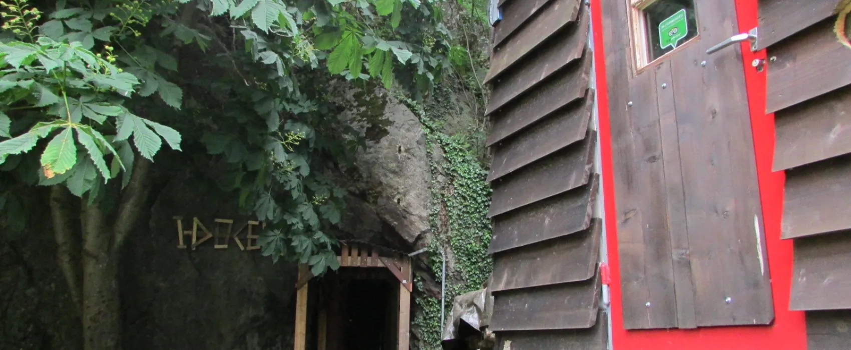 Camping de la Cascade de Pissevache