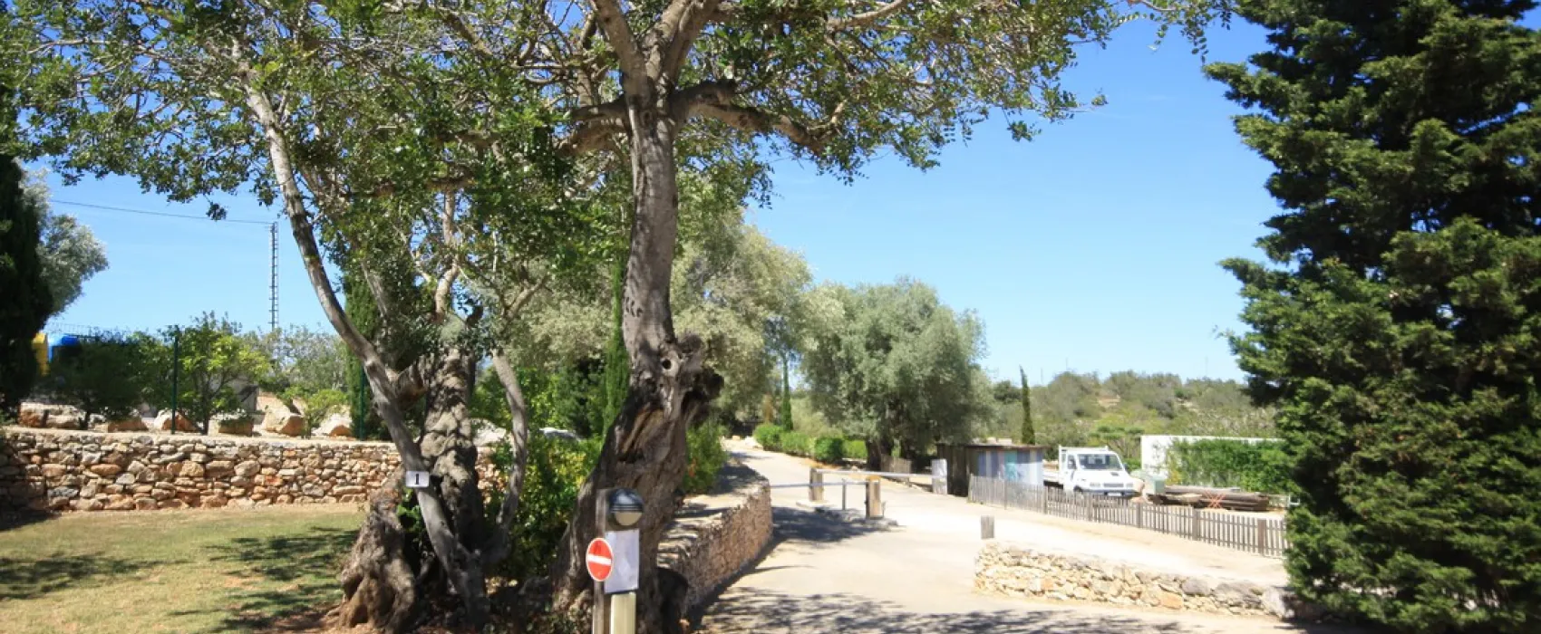 Camping L'Orangeraie