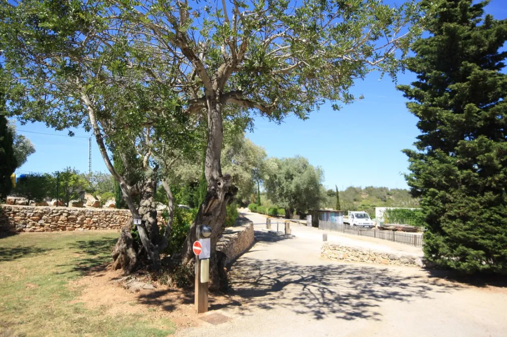 Camping L'Orangeraie