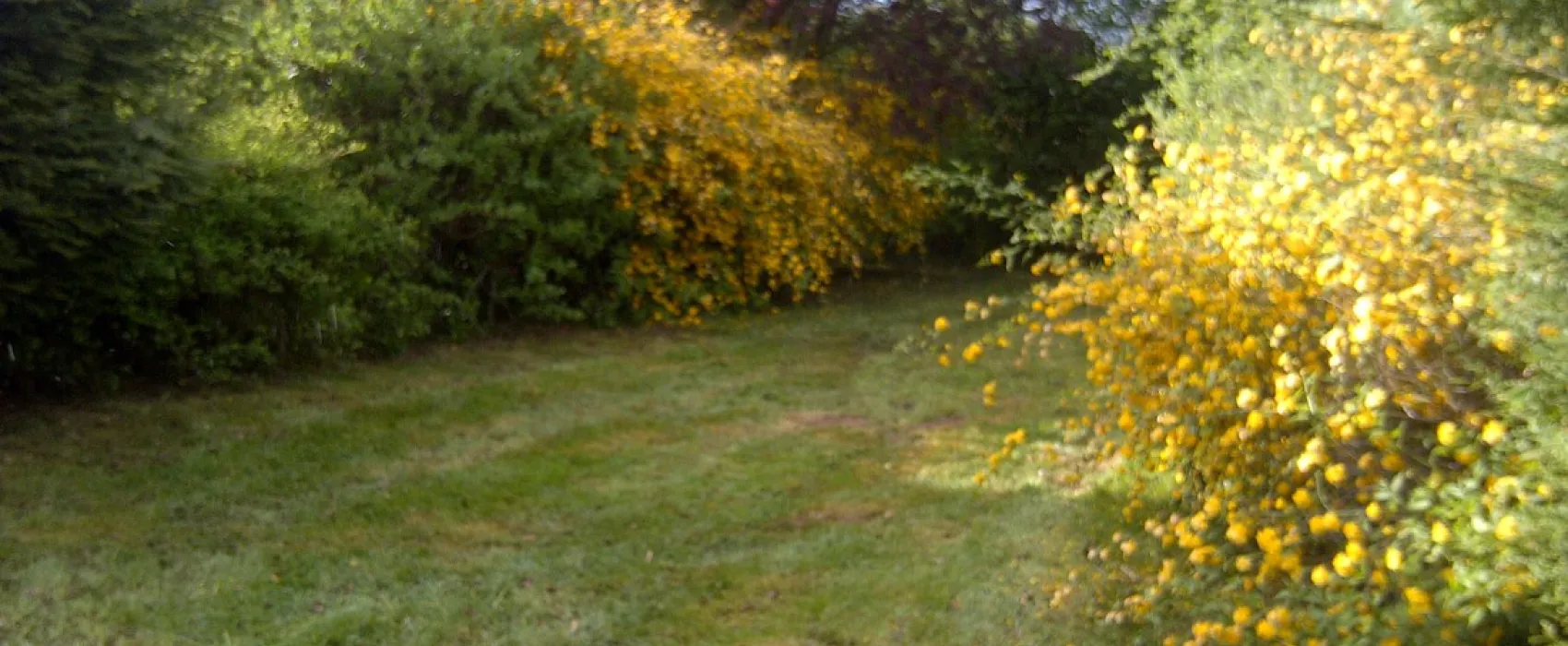 Camping municipal du Lac de Pont